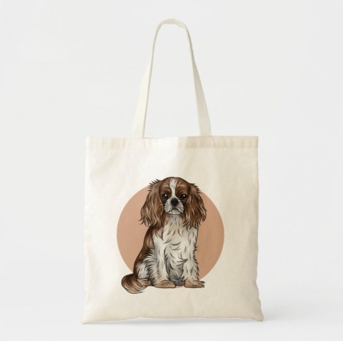 Torba